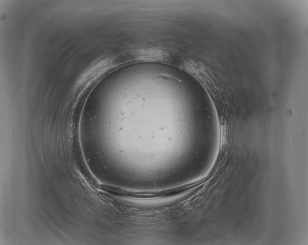 X0000085210243200703161226