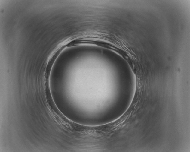 X0000085210244200703161226