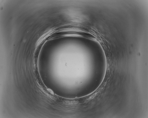 X0000085210245200703161226