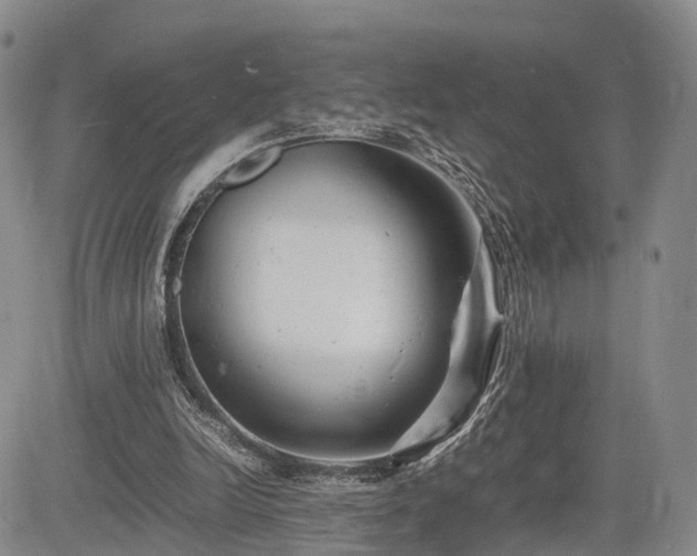 X0000085210246200703161226