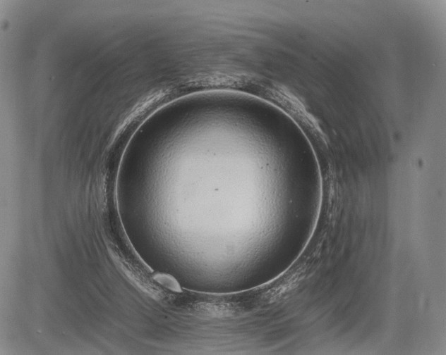 X0000085210250200703161226