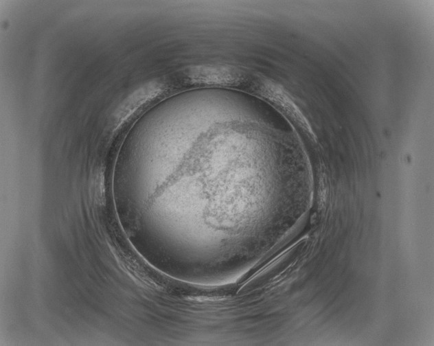 X0000085210251200703161226