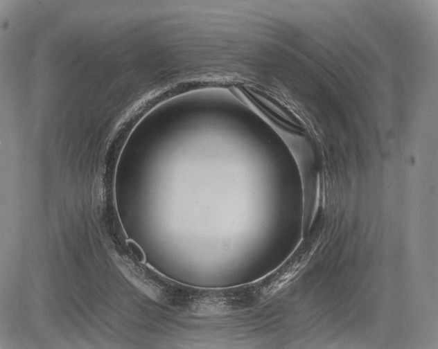 X0000085210252200703161226