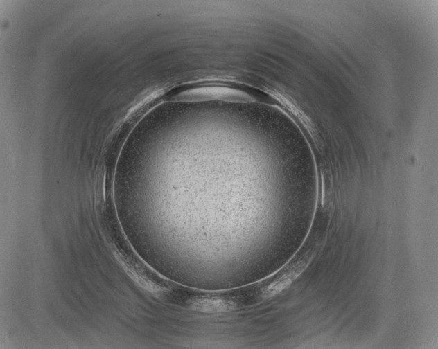 X0000085210253200703161226