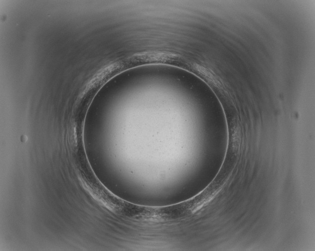 X0000085210254200703161226