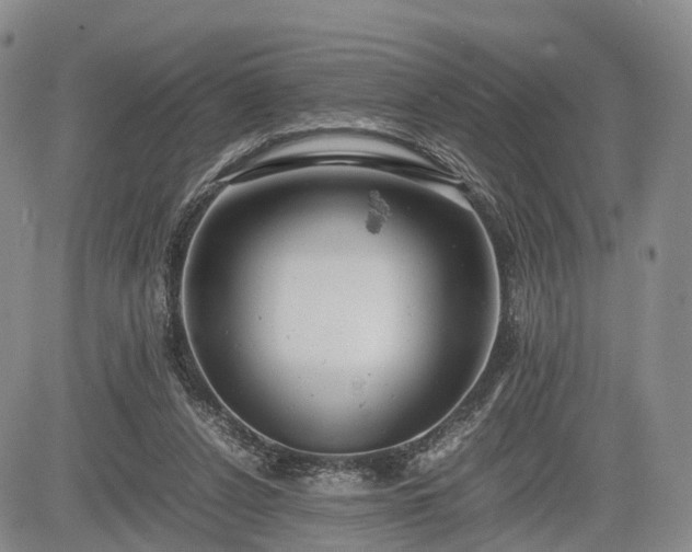 X0000085210256200703161226