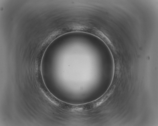 X0000085210257200703161226