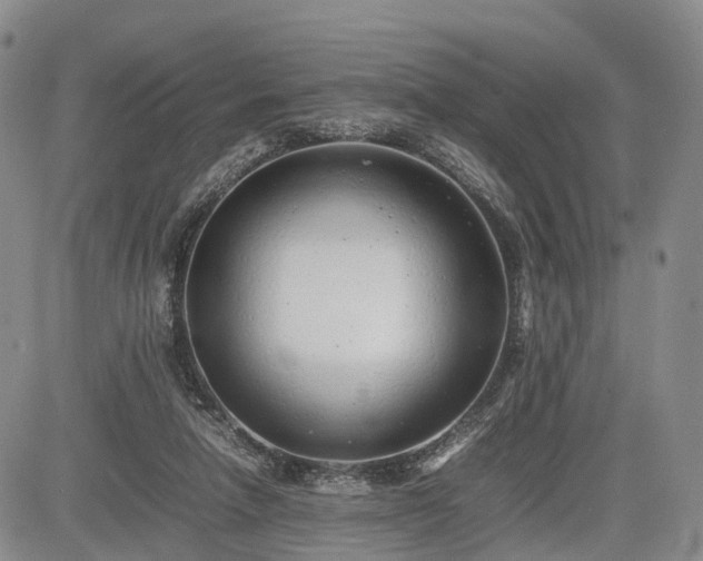 X0000085210258200703161226