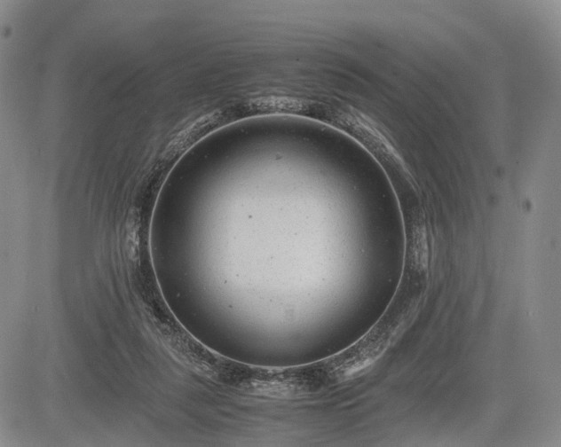 X0000085210259200703161226