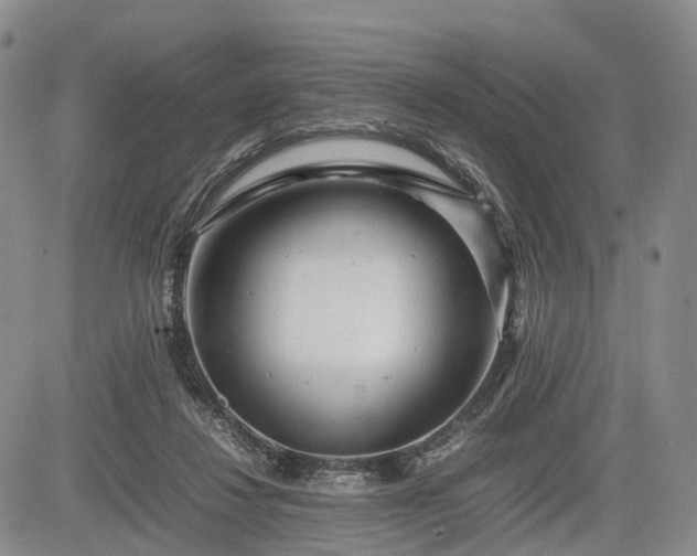 X0000085210260200703161226