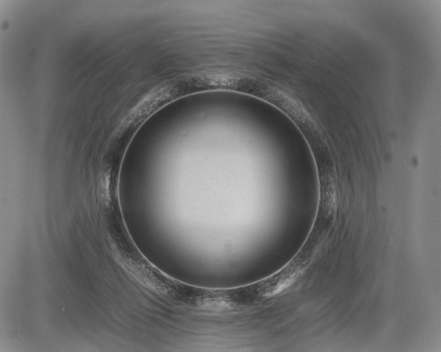 X0000085210262200703161226