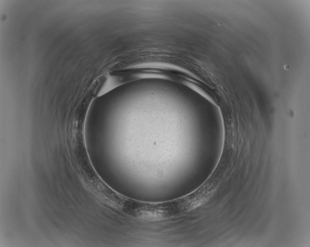 X0000085210263200703161227