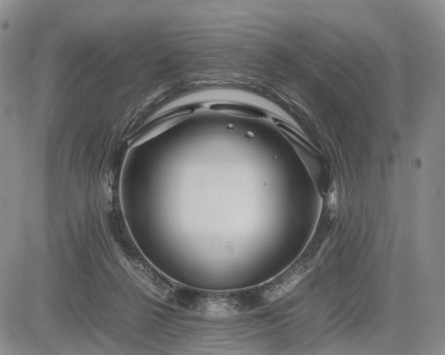 X0000085210264200703161227