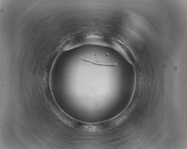 X0000085210265200703161227