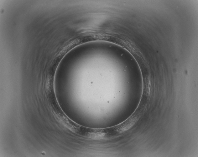 X0000085210266200703161227