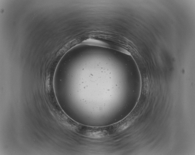 X0000085210267200703161227