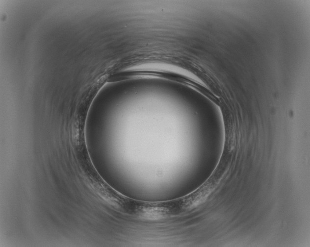 X0000085210268200703161227