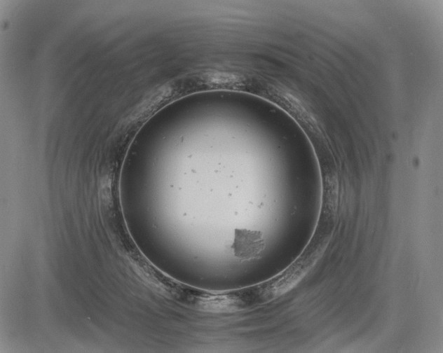 X0000085210269200703161227