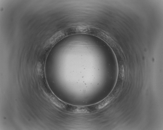 X0000085210270200703161227