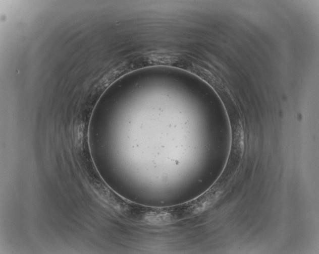 X0000085210271200703161227