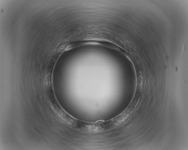 X0000085210272200703161227