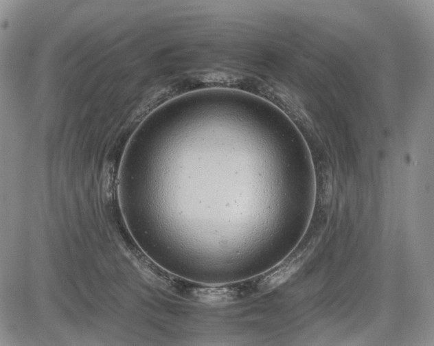 X0000085210273200703161227