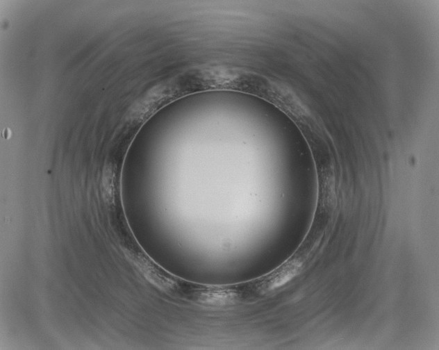 X0000085210274200703161227