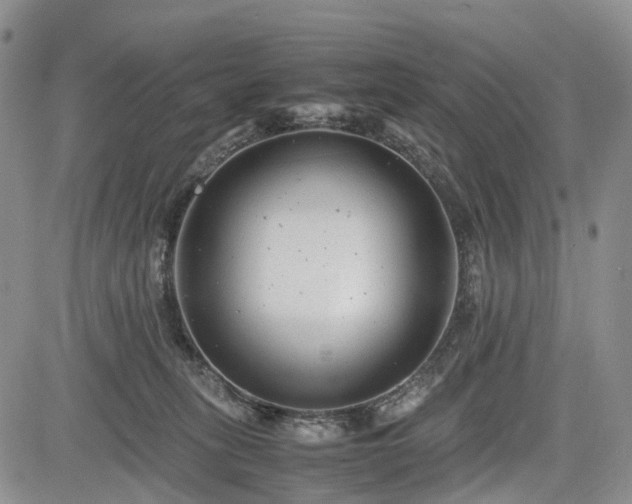 X0000085210275200703161227