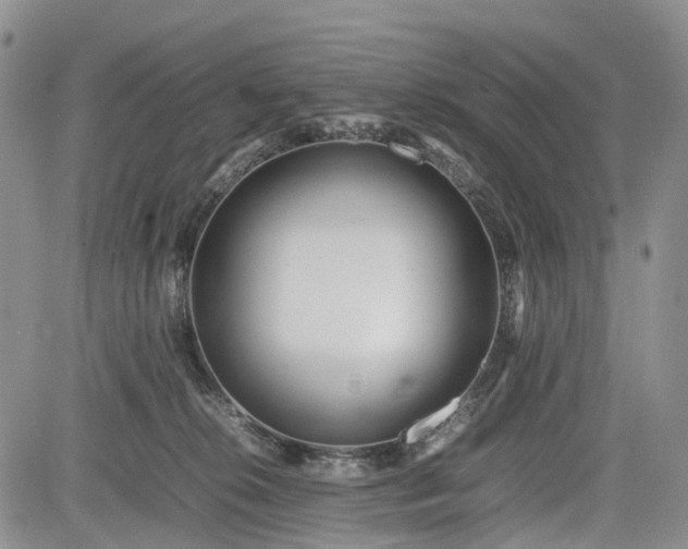 X0000085210276200703161227