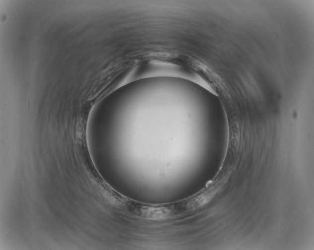 X0000085210277200703161227