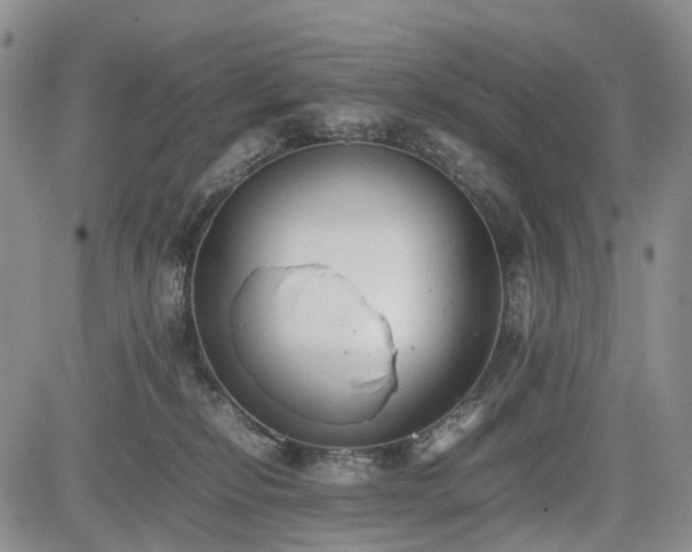 X0000085210278200703161227