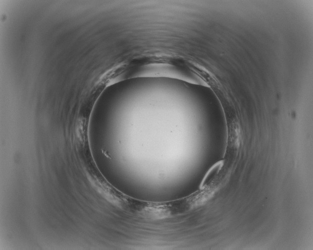 X0000085210280200703161227