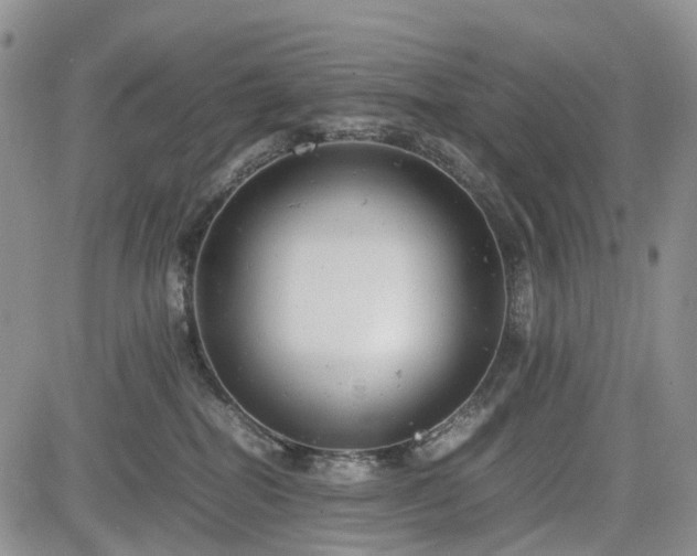 X0000085210282200703161227