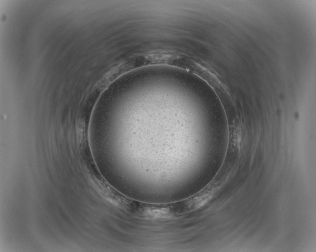 X0000085210283200703161227