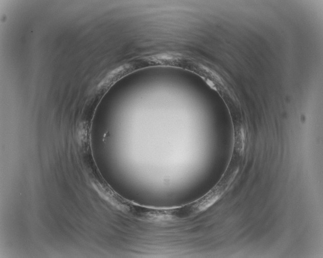 X0000085210284200703161227