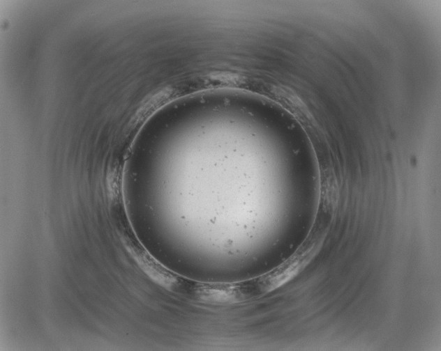 X0000085210285200703161227