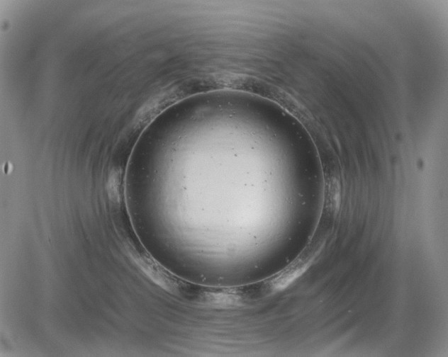 X0000085210286200703161227