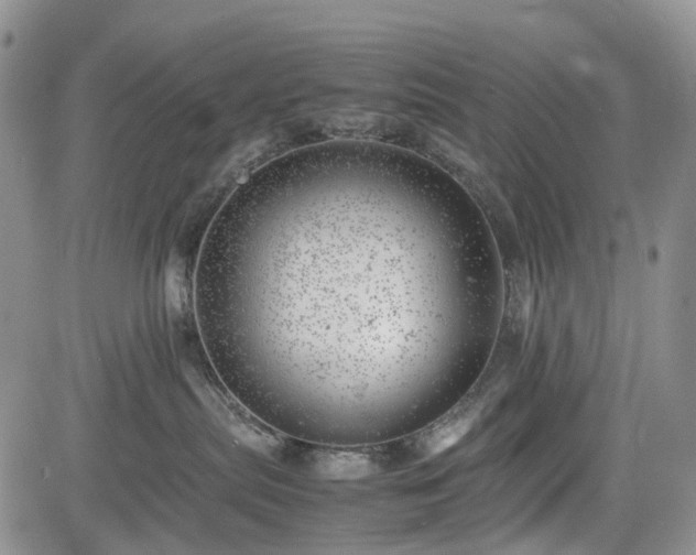 X0000085210287200703161227