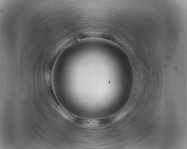 X0000085210288200703161227