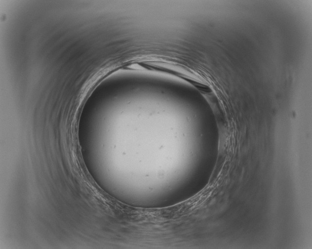 X0000085210289200703161226