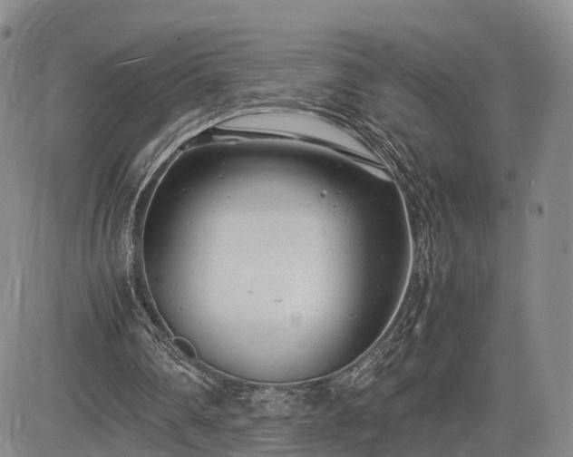 X0000085210290200703161226