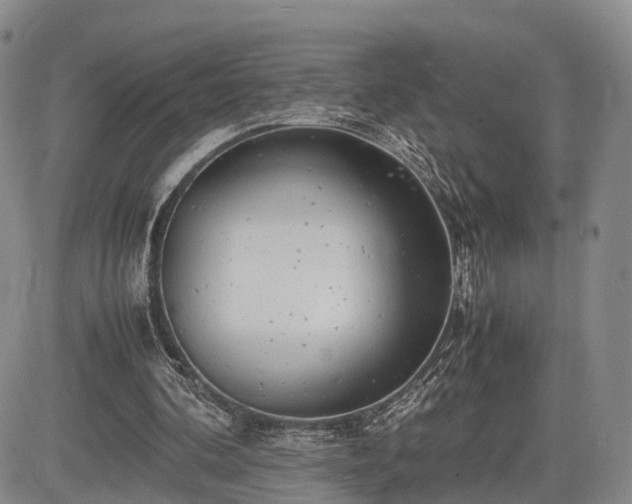 X0000085210292200703161226