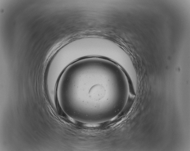 X0000085210293200703161226