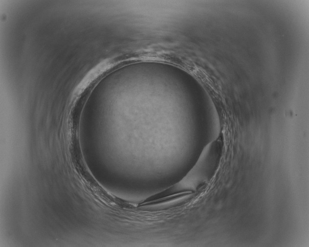 X0000085210295200703161226