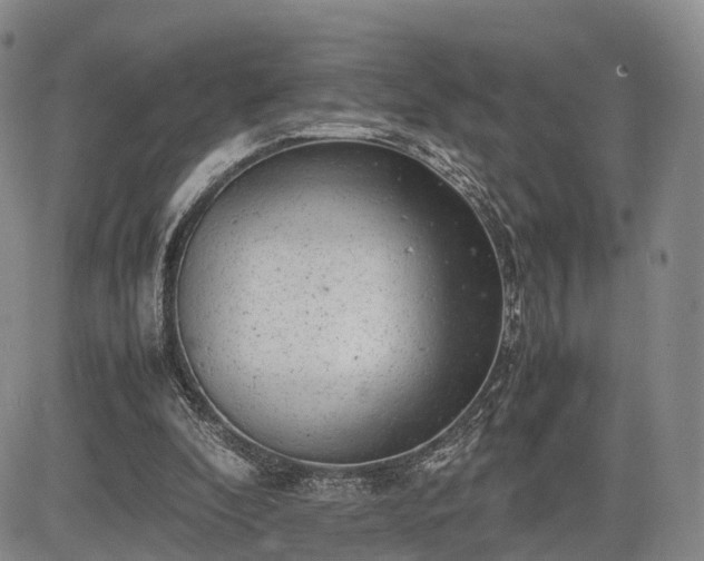 X0000085210296200703161226