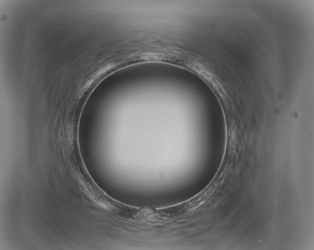 X0000085210297200703161226