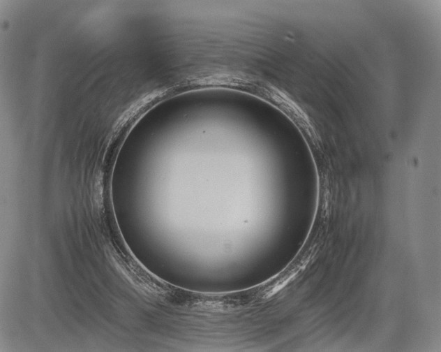 X0000085210298200703161226