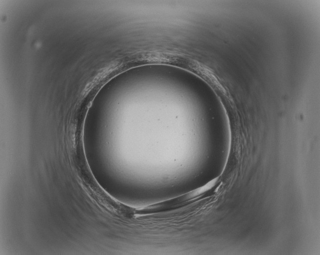 X0000085210299200703161226