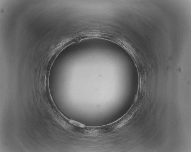 X0000085210301200703161226