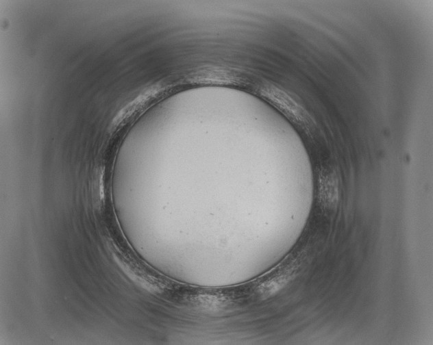 X0000085210302200703161226